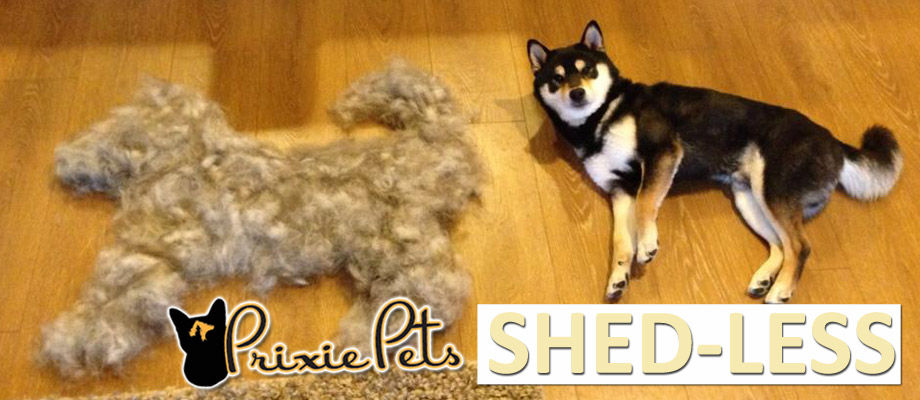 Make Your Dog ShedLESS