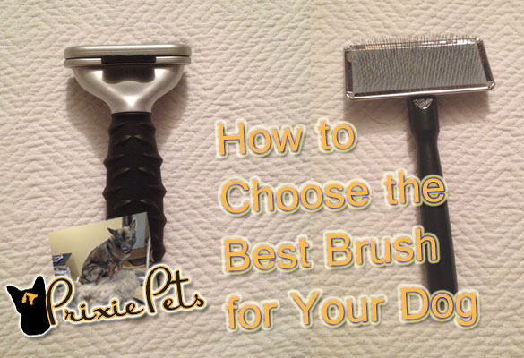 How To Choose the Best Dog Brush
