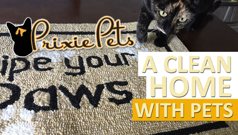 How to Keep Your House Clean With Pets - Cats & Dogs