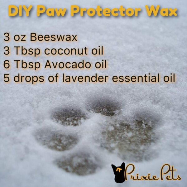 DIY AllNatural Paw Protector Wax PrixiePets