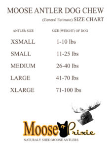Moose Antler Dog Chew Size Chart