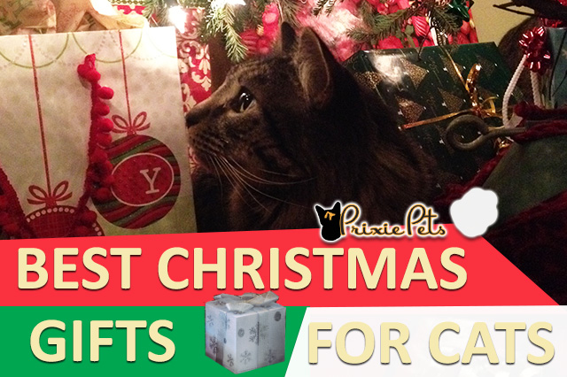 Best Christmas Gifts for Cats