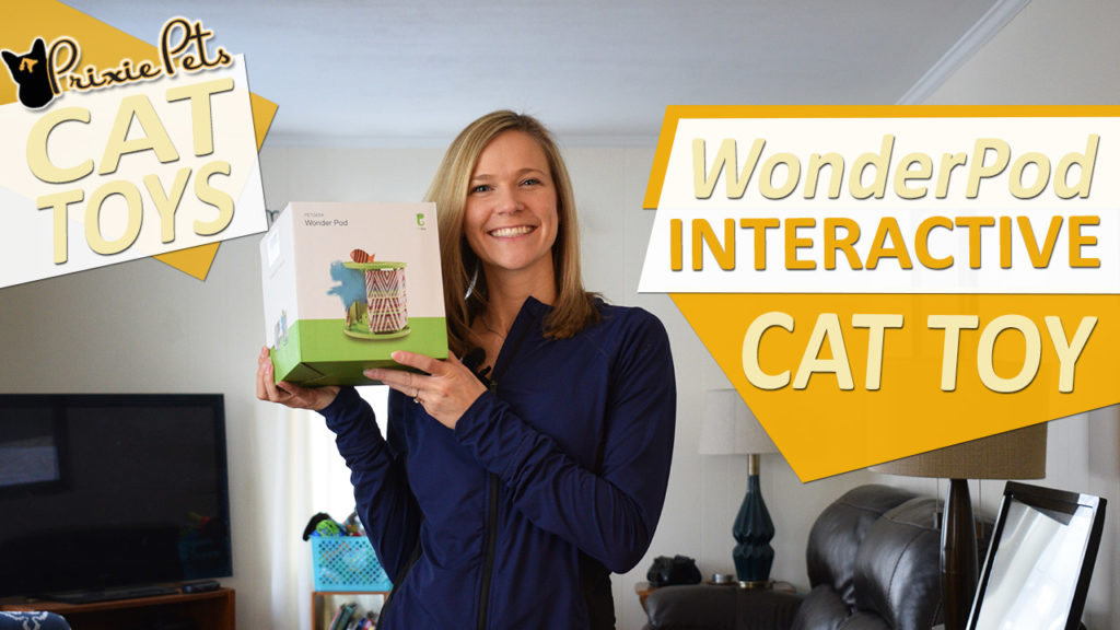 WonderPod Interactive Cat Toy