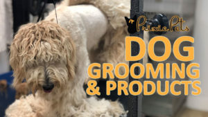 Dog Grooming & Products